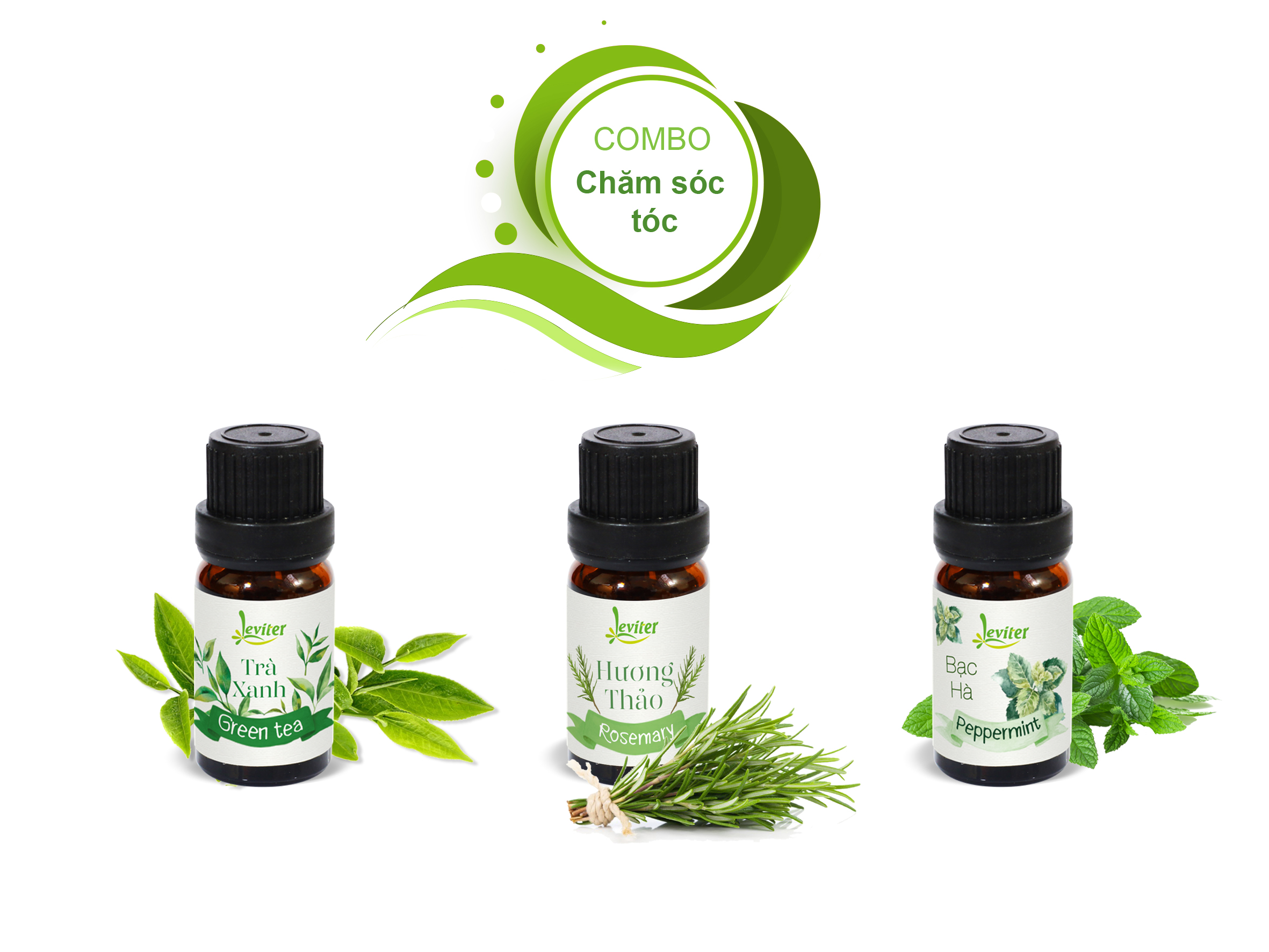 Combo 3 Chai Tinh Dầu Leviter Chăm Sóc Tóc 10ml Trà xanh 10ml - Bạc hà 10ml - Hương thảo 10ml