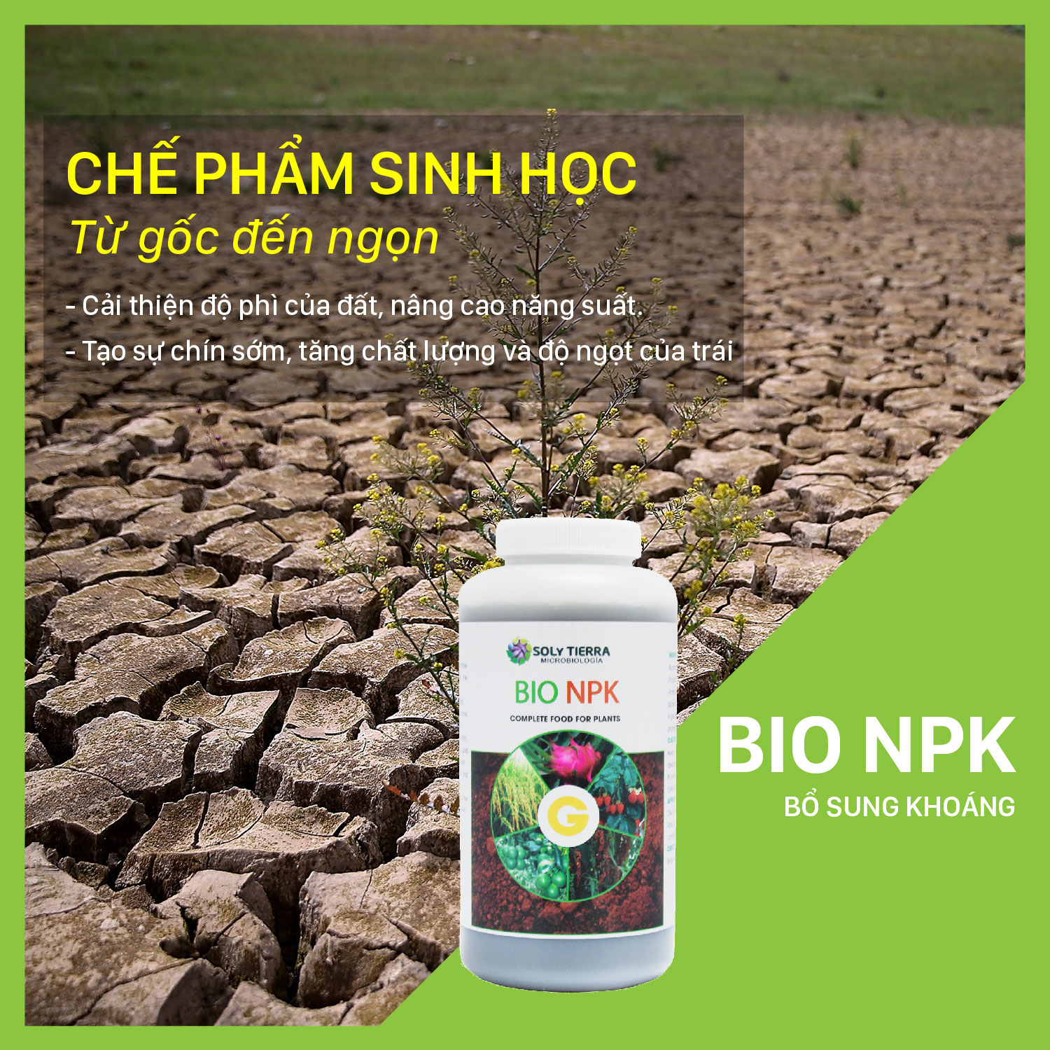 Bio NPK giúp cây hấp thụ tốt NPK, tăng độ ngọt trái chai 1 lít