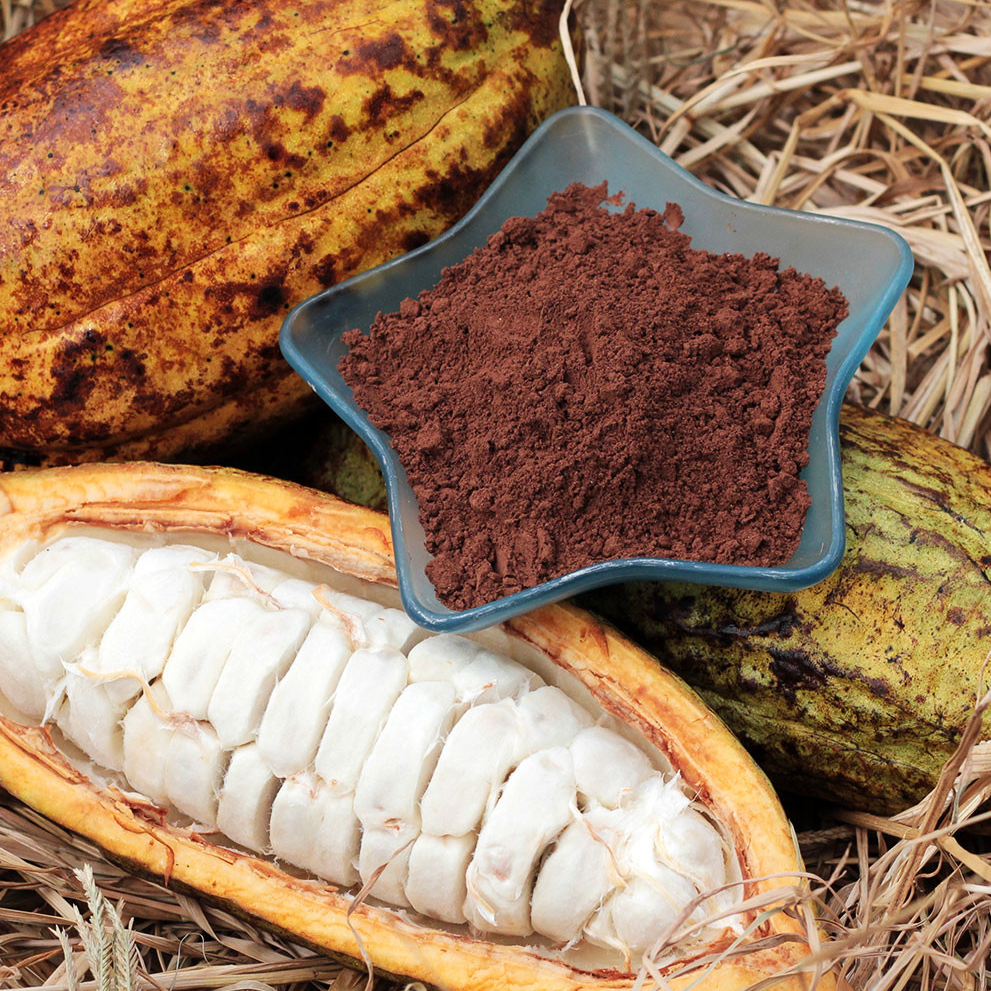 Bột CaCao Nguyên Chất 100% DK Harvest 100g, 200g, 500g