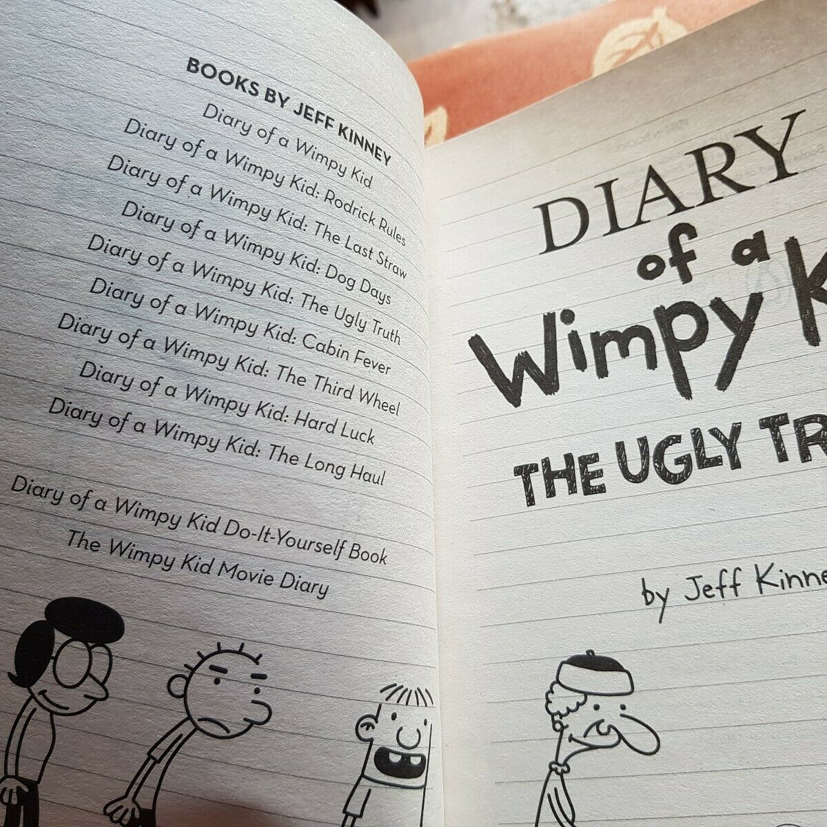 Diary Of A Wimpy Kid 05: The Ugly Truth (Paperback)