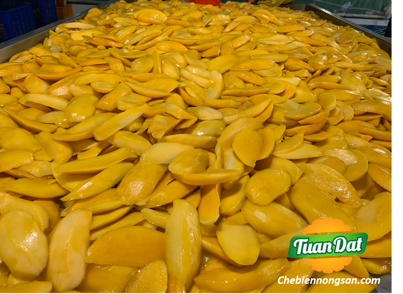 Xoài Tươi Sấy Dẻo 500g (Soft dried mango