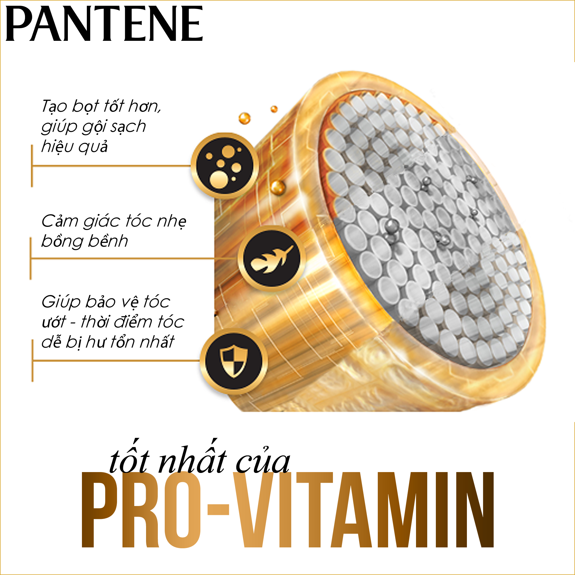 Dầu Gội PANTENE Chai 650ml/900ml/1.2L/1.8L