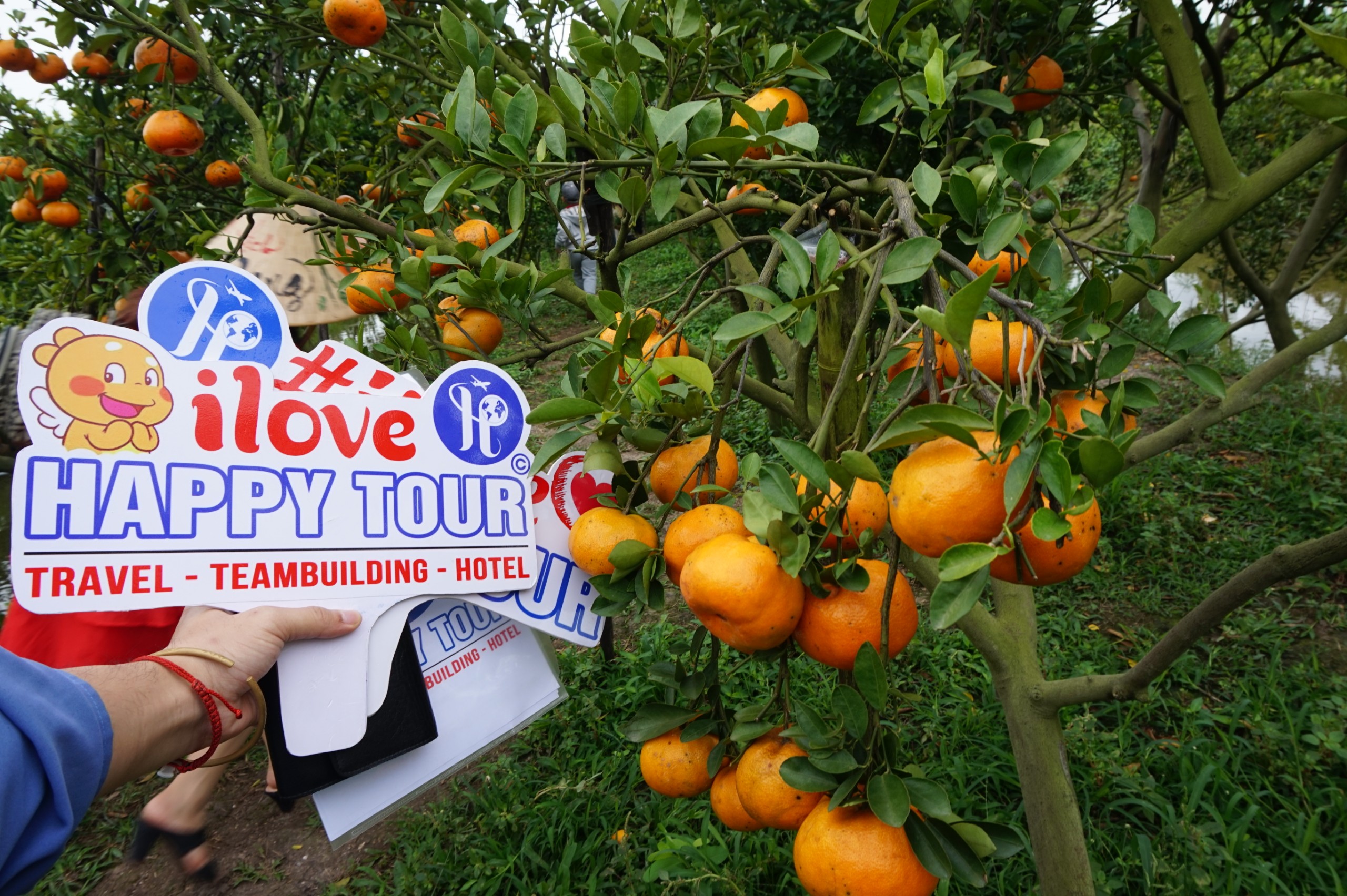 TOUR LÀNG HOA SA ĐÉC - VƯỜN QUÍT HỒNG LAI VUNG - CHÙA PHẬT NGỌC XÁ LỢI - 1 NGÀY - HAPPY TOUR