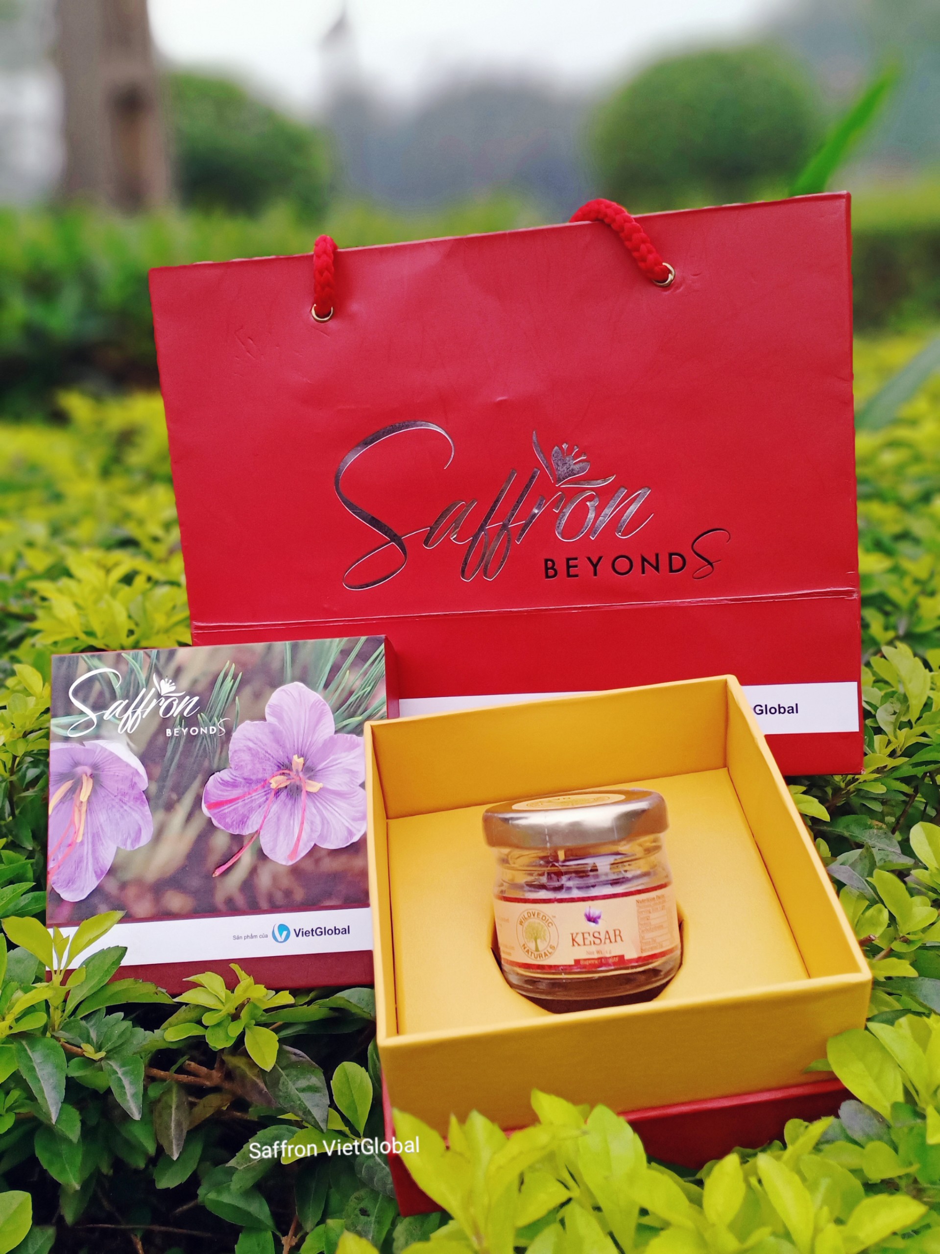 Nhụy hoa nghệ tây Pure Kashmir Kesar Saffron hộp 5g