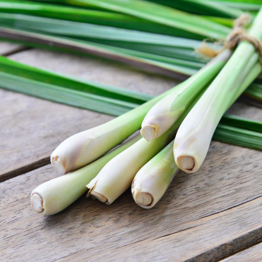 Tinh dầu Sả chanh - Lemon Grass Essential Oil - Hoa Thơm Cỏ Lạ