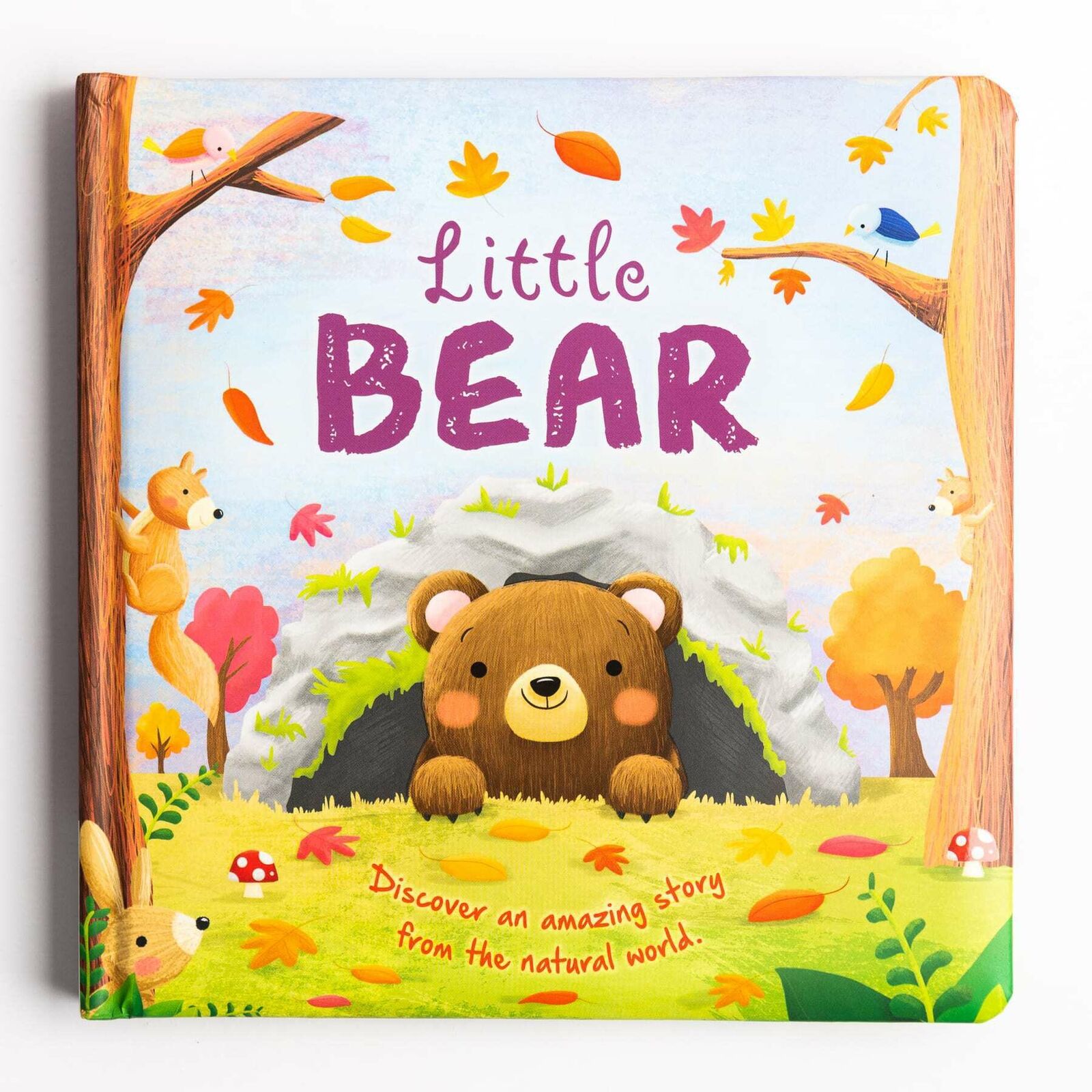 Little Bear (Discover an Amazing Story From The Natural World)