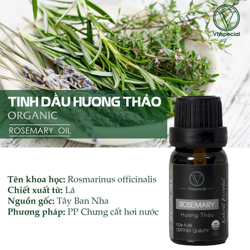 Tinh Dầu Hữu Cơ Hương Thảo| Organic Rosemary Oil | Tinh dầu Nhập Khẩu USDA - Vnspecial Oils (10ml)