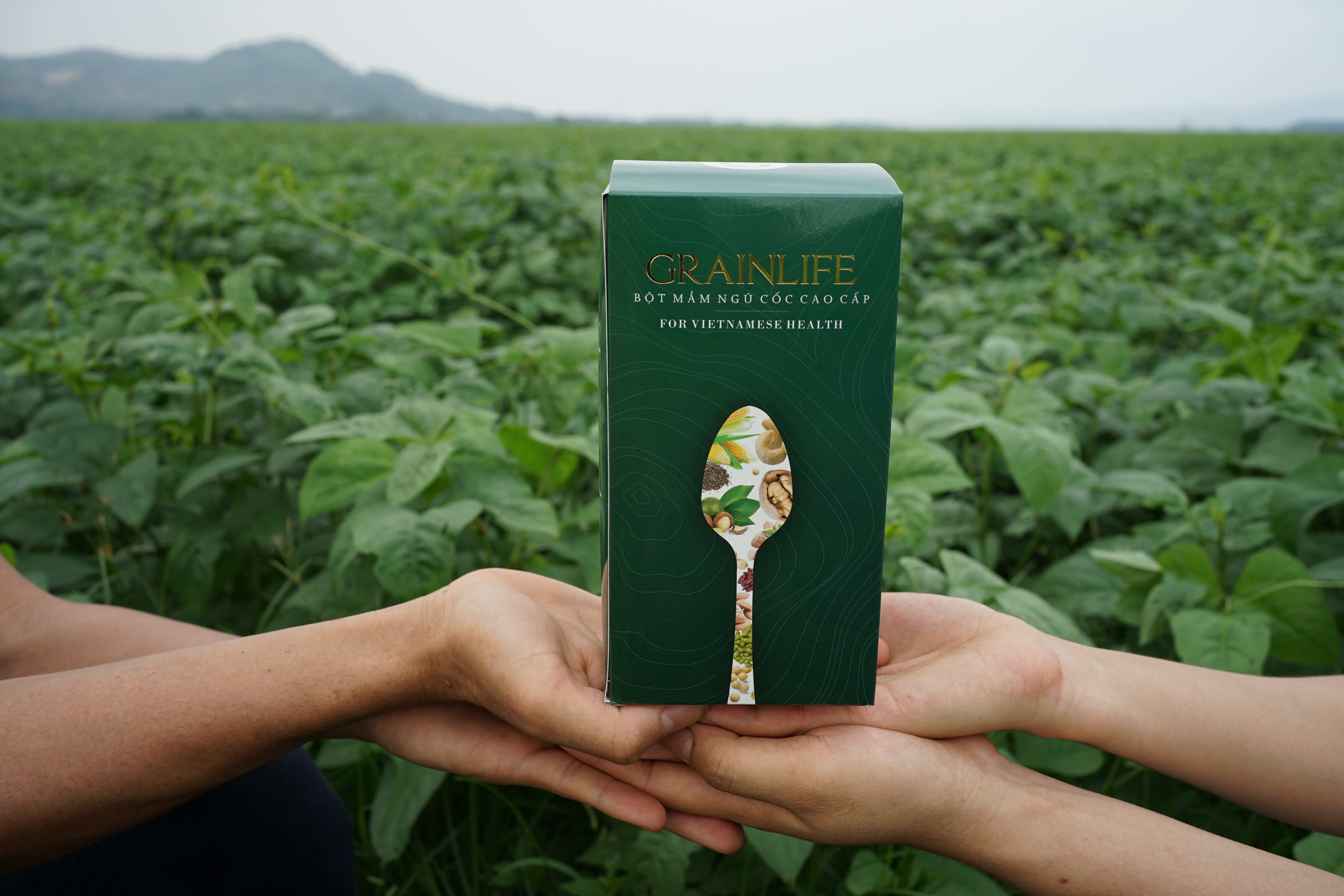 Bột Mầm Ngũ Cốc Cao Cấp Long Liên  - Thực Phẩm Dinh Dưỡng Giúp Tăng Cân - Ngủ Ngon - Tốt Cho Dạ Dày - Kiểm Nghiệm ATVSTP Và Công Bố Chất Lượng