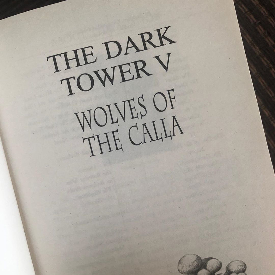 Stephen King: The Dark Tower V: Wolves of the Calla