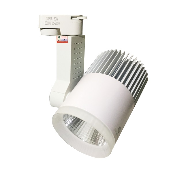 Đèn LED Rọi Ray 20W GSRR20 GS Lighting