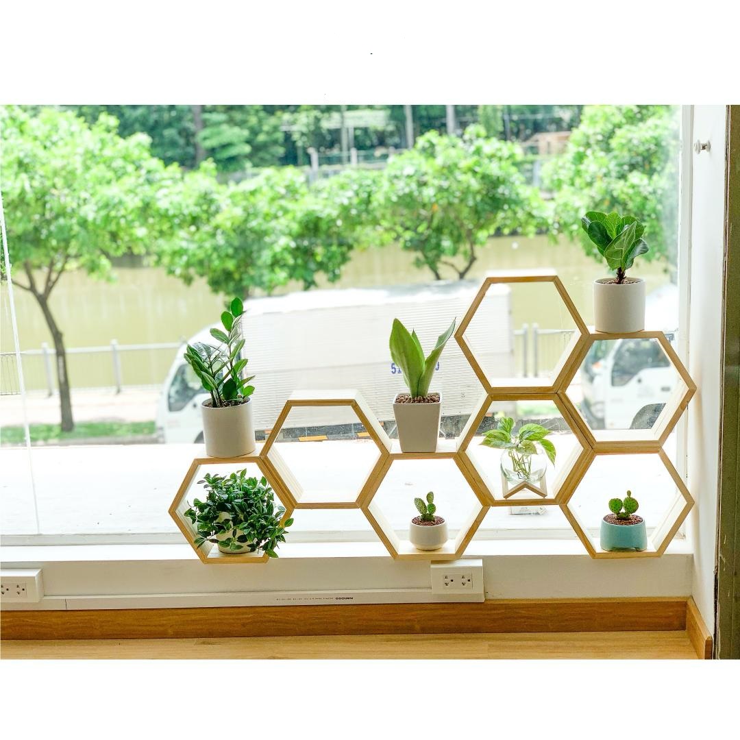 3 Kệ Lục giác gỗ treo tường trang trí Gỗ Thông kích thước 30x30x10 cm