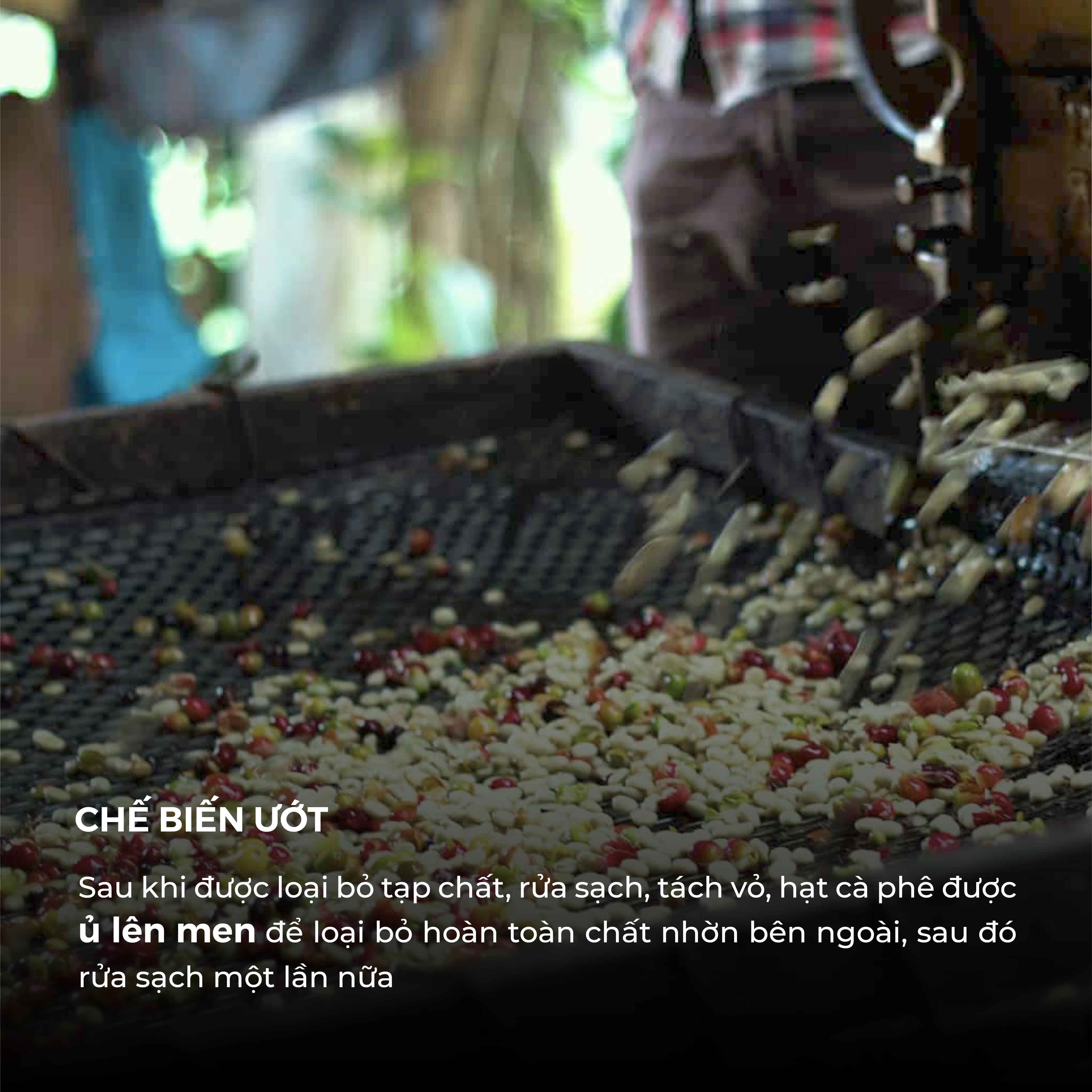 Cà Phê Bột TORO ROBUSTA HONEY 500G