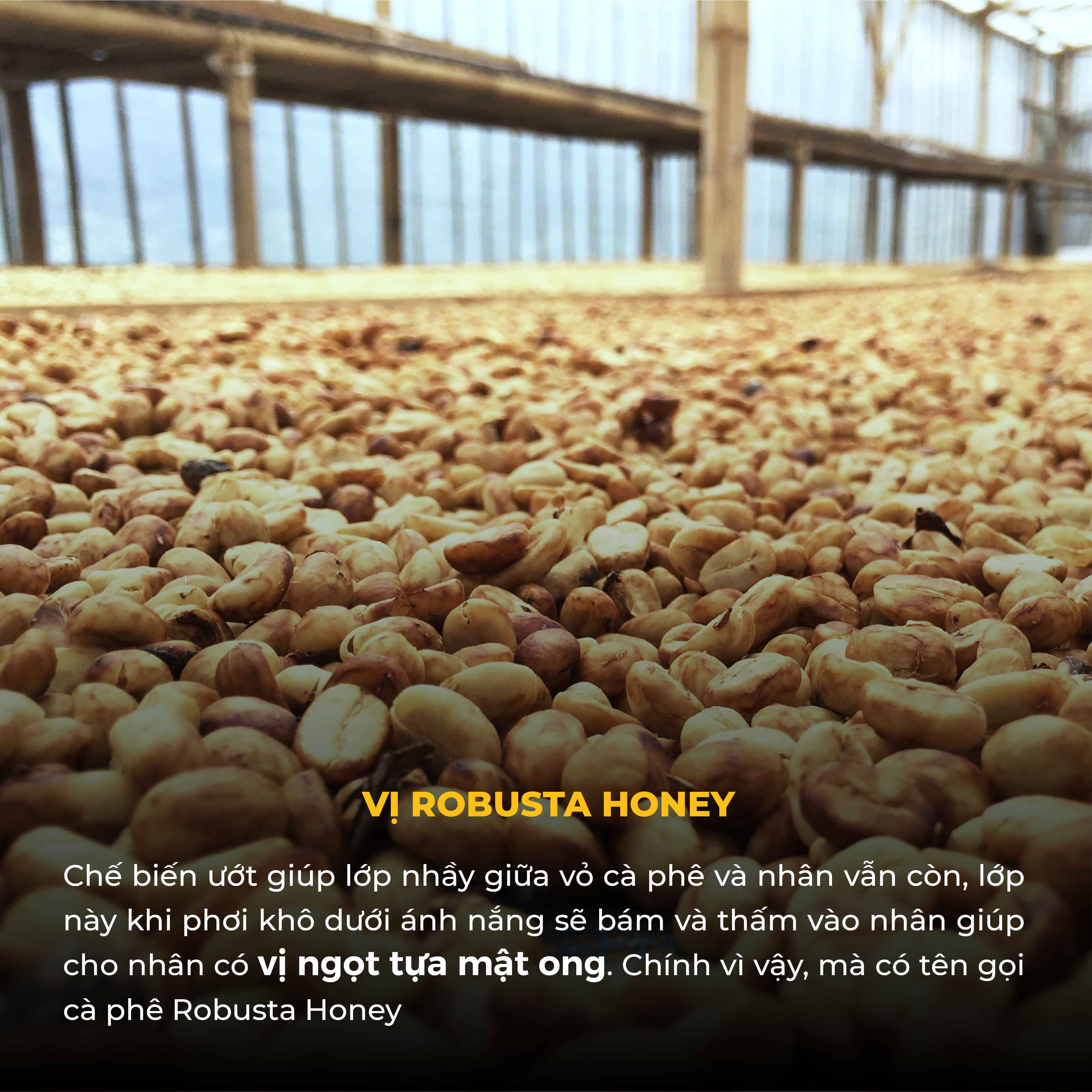 Cà Phê Bột TORO ROBUSTA HONEY 500G