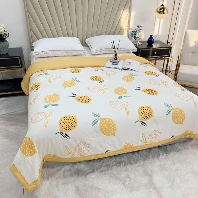 Chăn hè đũi KS06