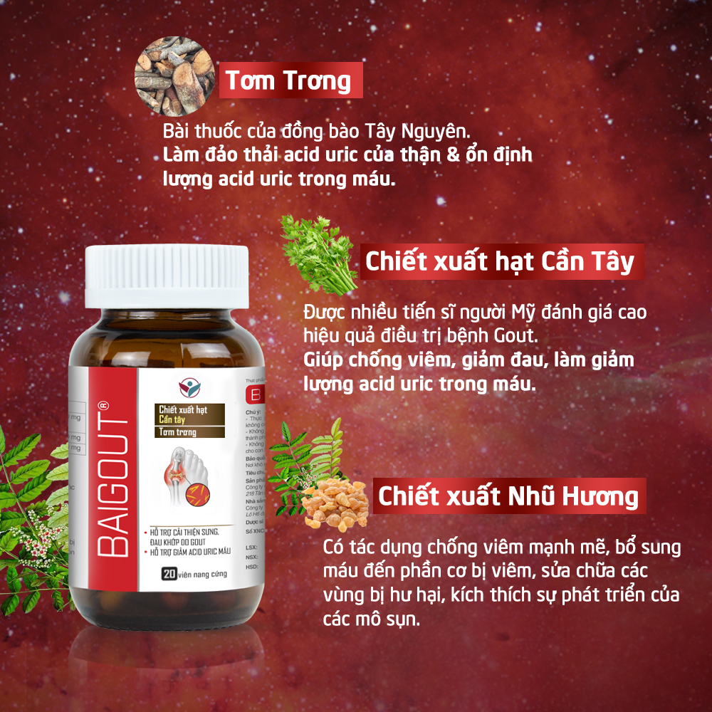 Viên uống Hỗ Trợ Kiểm Soát Các Bệnh Về Gout, Hỗ Trợ Giảm Đau Do Gout Baigout