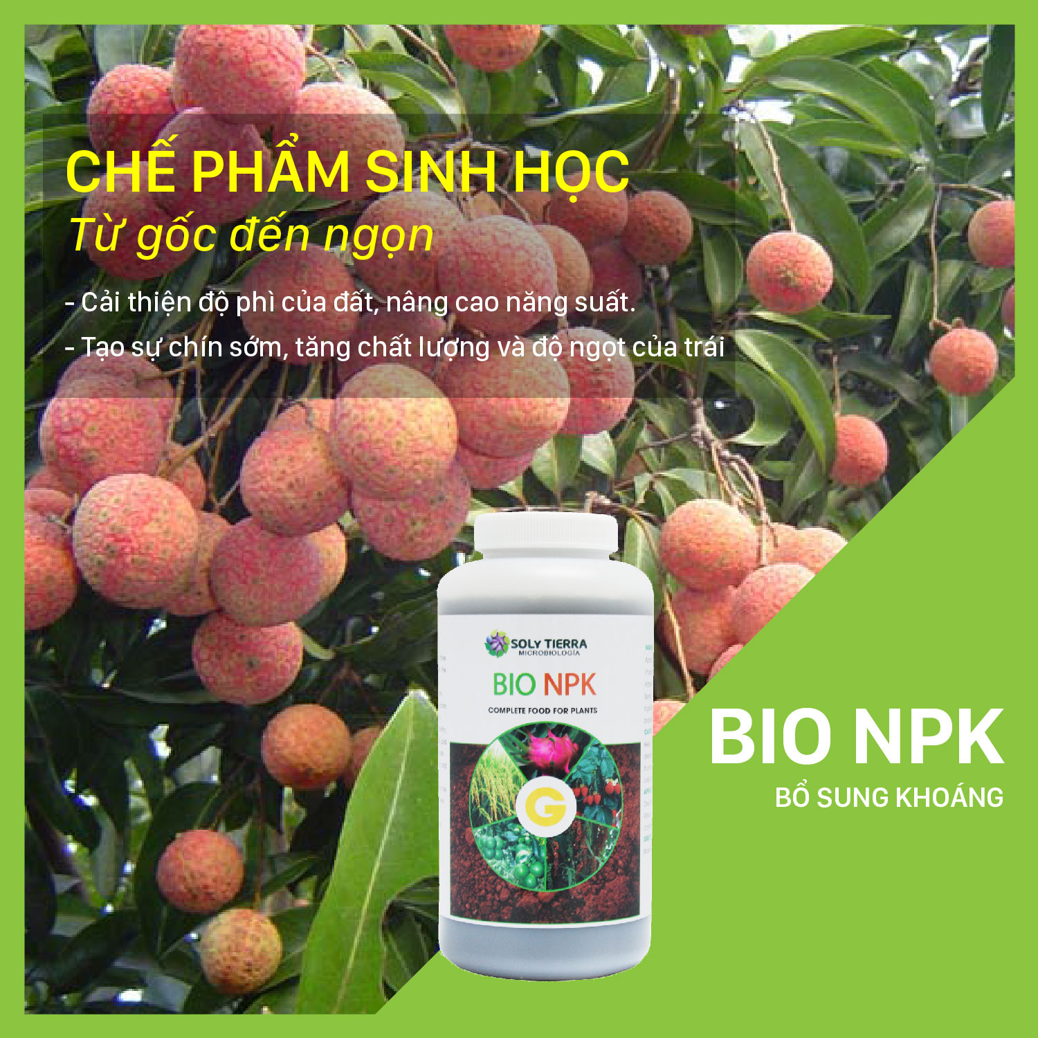 Bio NPK giúp cây hấp thụ tốt NPK, tăng độ ngọt trái chai 1 lít