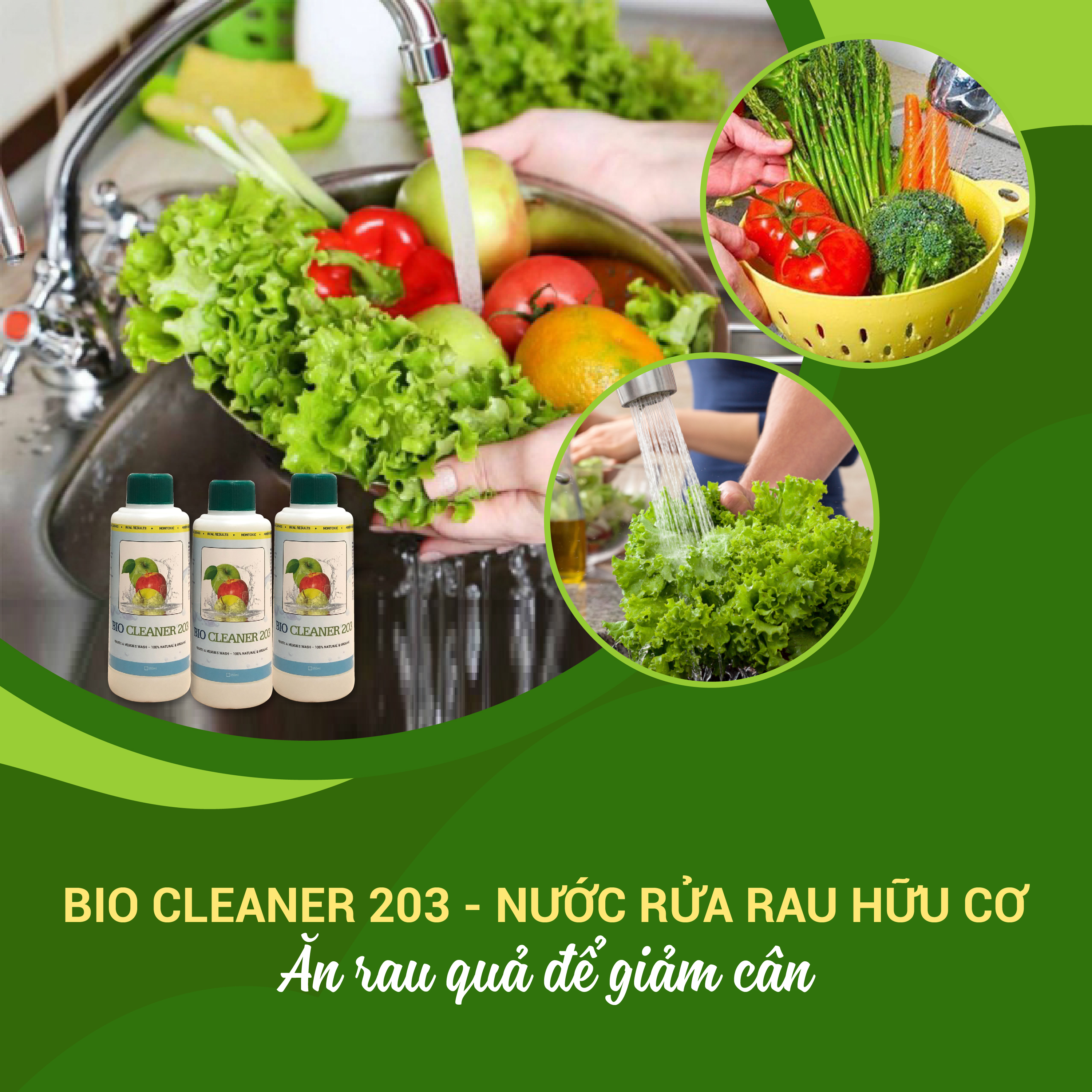 Nước rửa rau quả, trái cây sinh học hữu cơ Bio Cleaner 203 (350 ml)