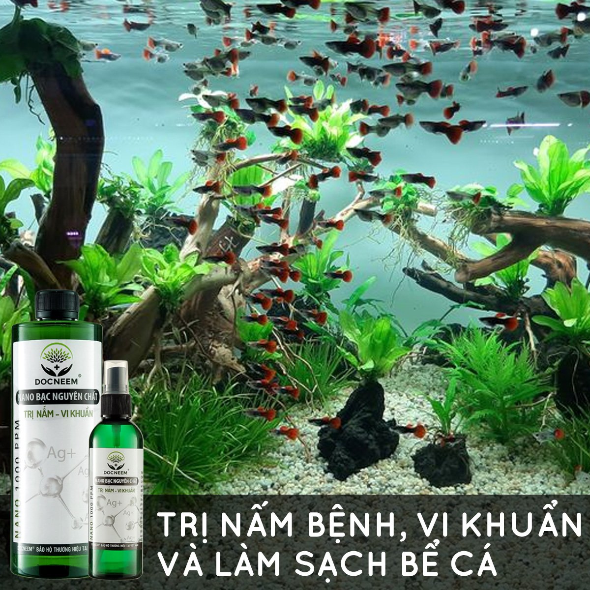 Nano bạc DOCNEEM nguyên chất trị nấm, vi khuẩn, virus cho cây hoa hồng, phong lan, trầu bà, monstera,  cây cảnh trong nhà và ngoài trời, hàng chính hãng, chai 500ml