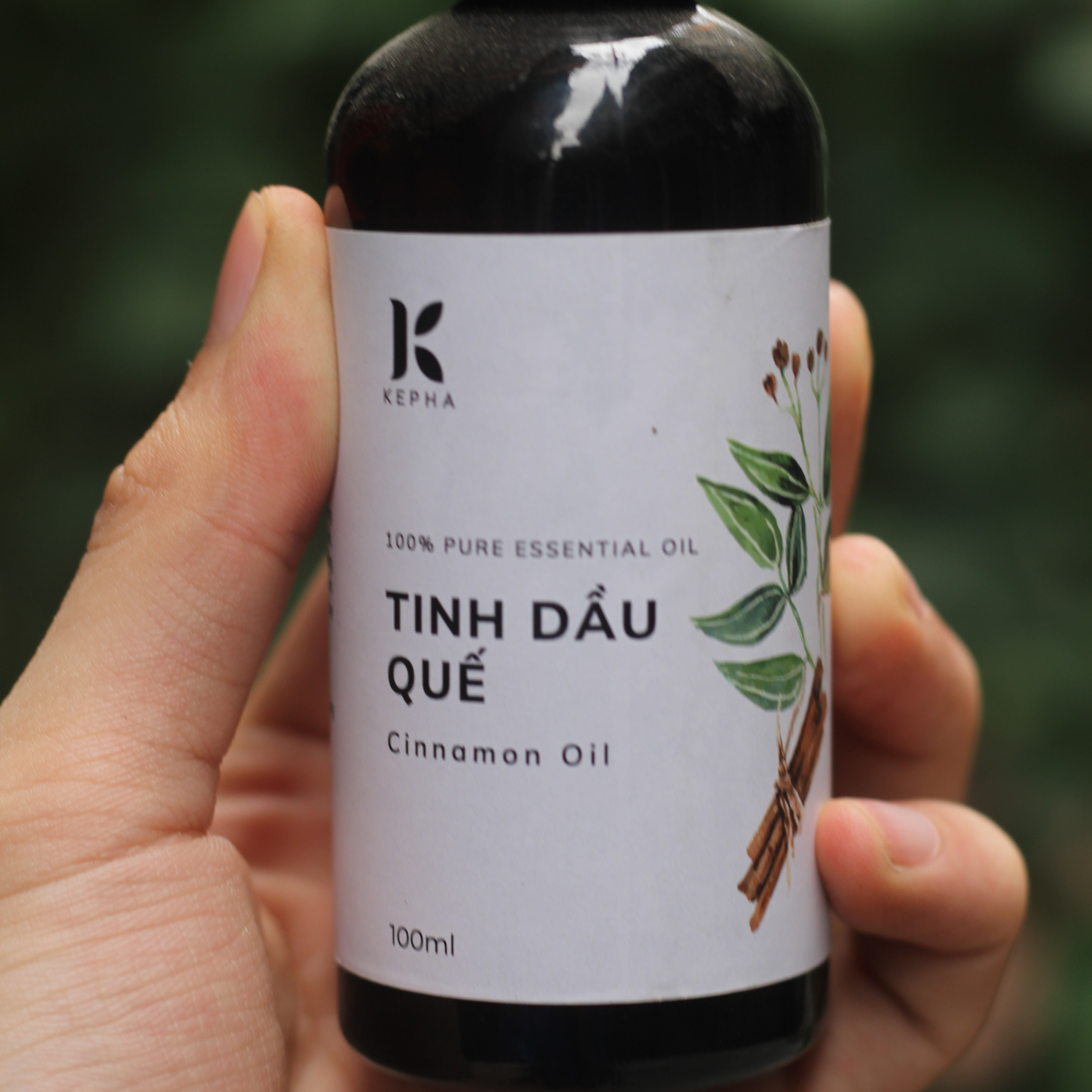 Tinh dầu Quế Kepha 100ml - Cassia Essential oil - Nguyên chất 100% - Khử mùi, lau nhà, làm sạch không khí