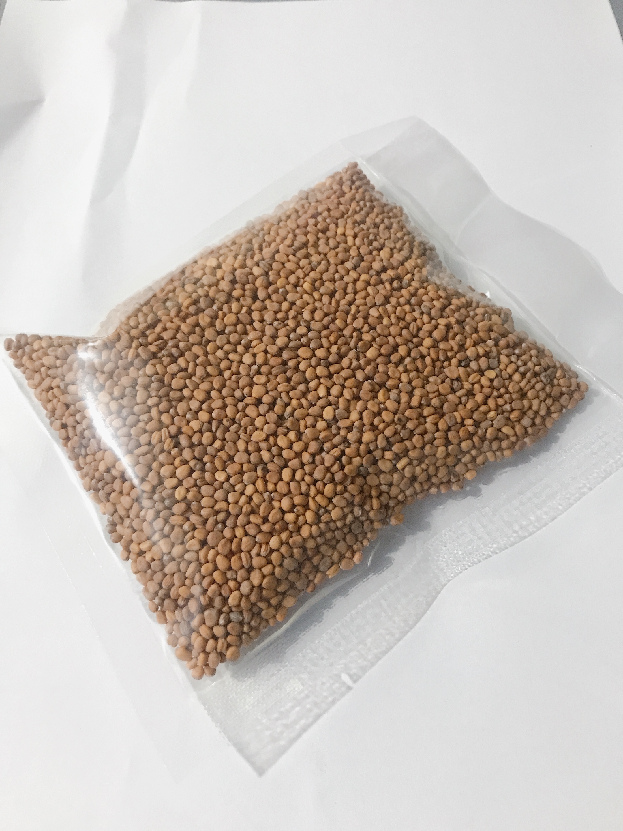 Hạt Giống Rau Mầm Củ Cải Đỏ Chất Lượng Cao 100Gr - RM06