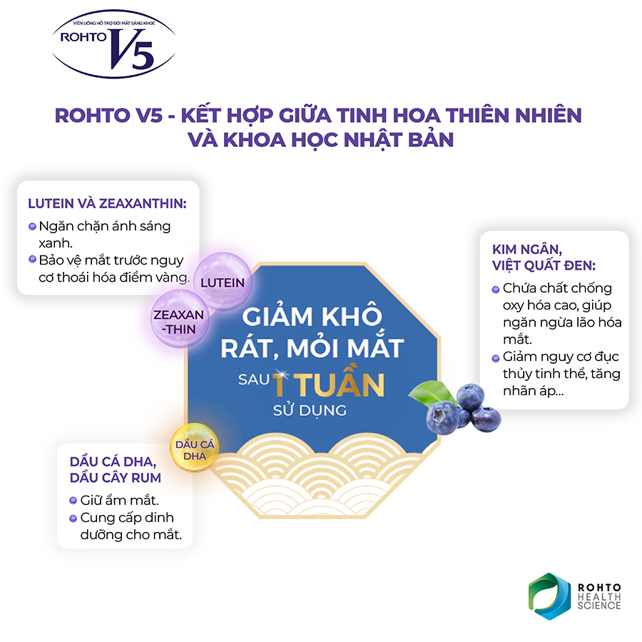 Thực Phẩm Chức Năng Bảo Vệ Sức Khỏe Rohto V5