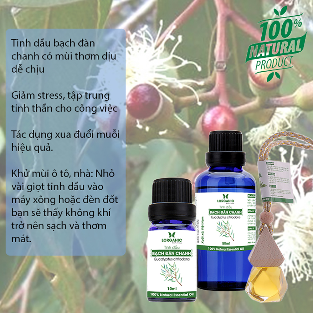 Tinh dầu bạch đàn chanh Lorganic  Eucalyptus citriodora 50ml/ Tinh dầu thiên nhiên nguyên chất.