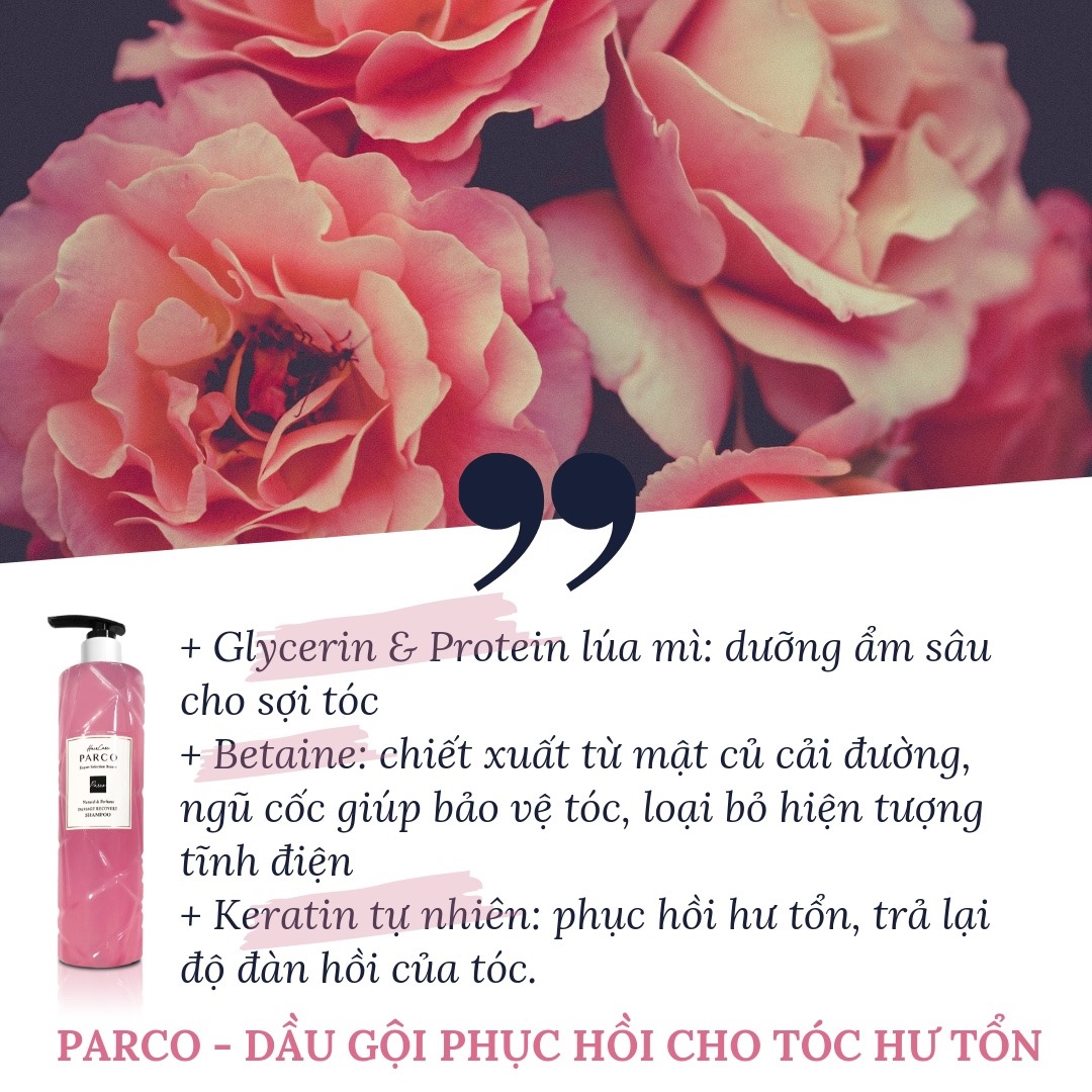 Bộ Kit Du Lịch Chăm Sóc Tóc - Phục Hồi Chuyên Sâu