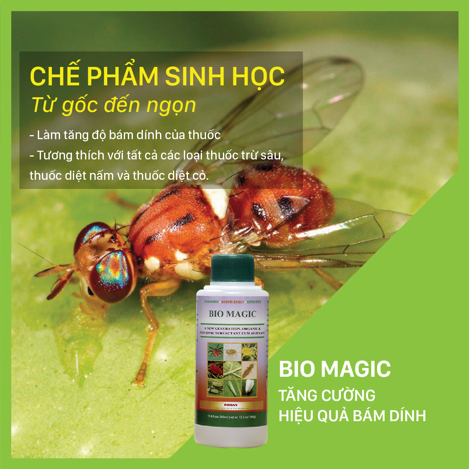 BIO MAGIC - Chai 350 ml - Tăng cường hiệu quả bám dính