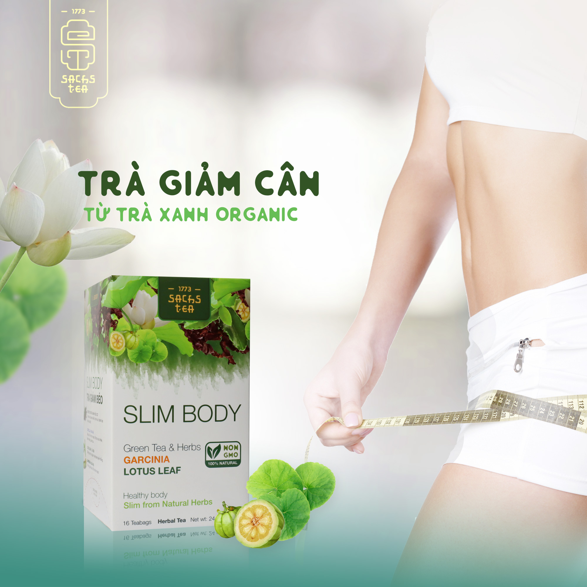 TRÀ GIẢM CÂN SLIM BODY TỰ NHIÊN LÀNH MÁT AN TOÀN TỪ BÊN TRONG SẢN XUẤT BỞI SACHS TEA 1773 [CHÍNH HÃNG]