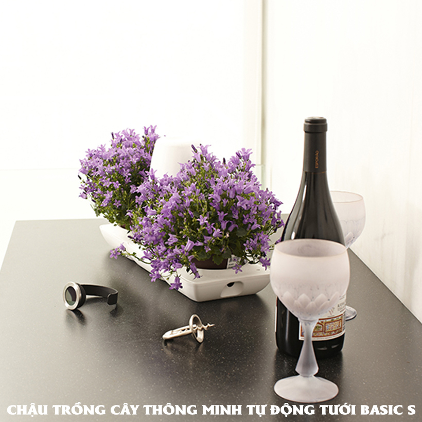 Bộ Chậu Trồng Cây Văn Phòng Thông Minh Tự Động Tưới Basic S mang phong cách Châu Âu,