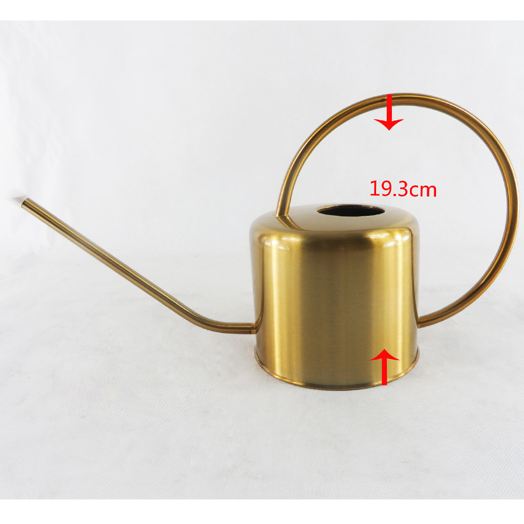1.3L Bình Thép Không Gỉ Tưới Cây Nồi Hiện Đại Phong Cách Hoa Vật Có Tưới Cây