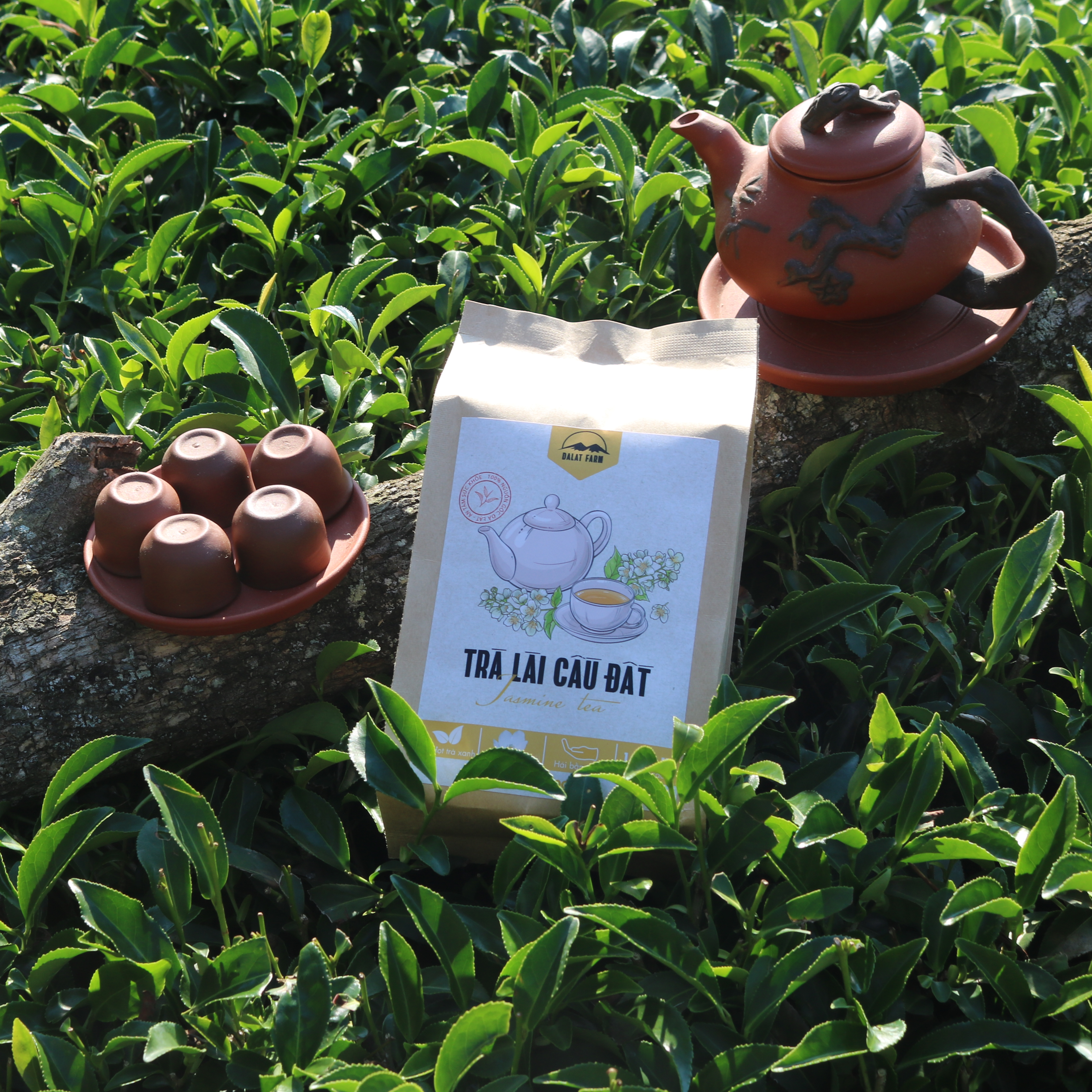 Trà Lài Cầu Đất - Túi 150Gr (Trà Hoa Nhài - Jasmine Tea)