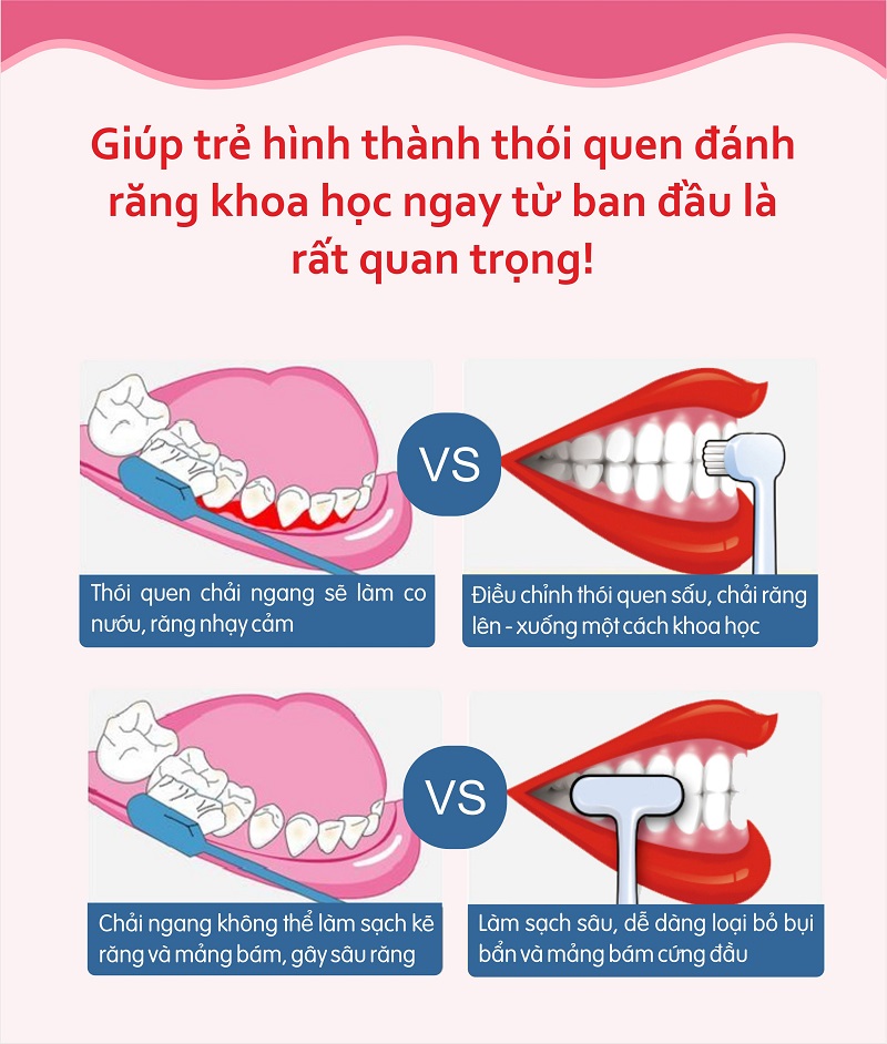 Combo 12 bàn chải đánh răng more-T trẻ em