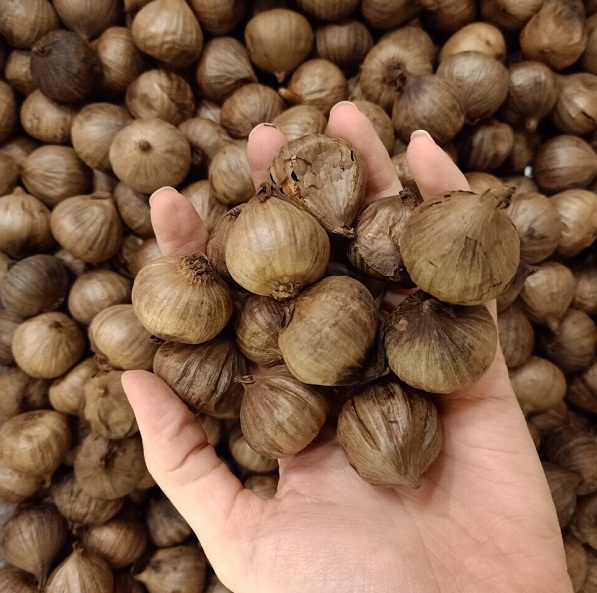 Tỏi Đen Cô Đơn Kami nguyên vỏ, Tăng Cường Sức Đề Kháng, hỗ trợ giảm mỡ Máu, Ổn Định Huyết Áp, Hỗ Trợ Tim Mạch, Kích Thích Tiêu Hóa