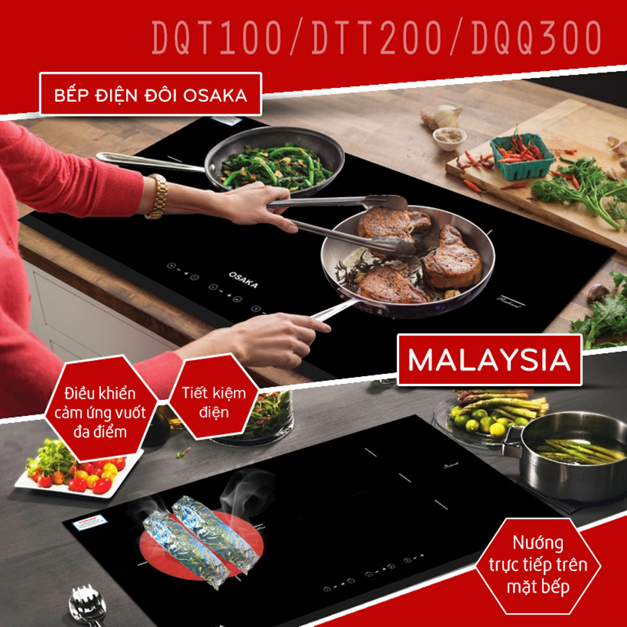 Bếp điện từ Osaka DQT-100