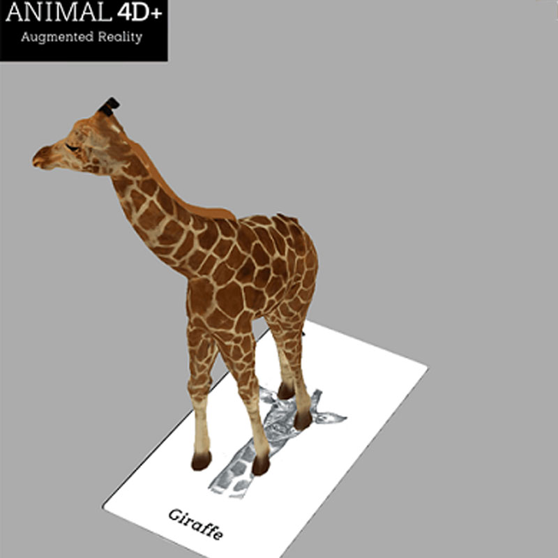 Bộ thẻ Animal 4D+ hình ảnh thú vật Sinh động - Thúc đẩy trí thông minh cho bé