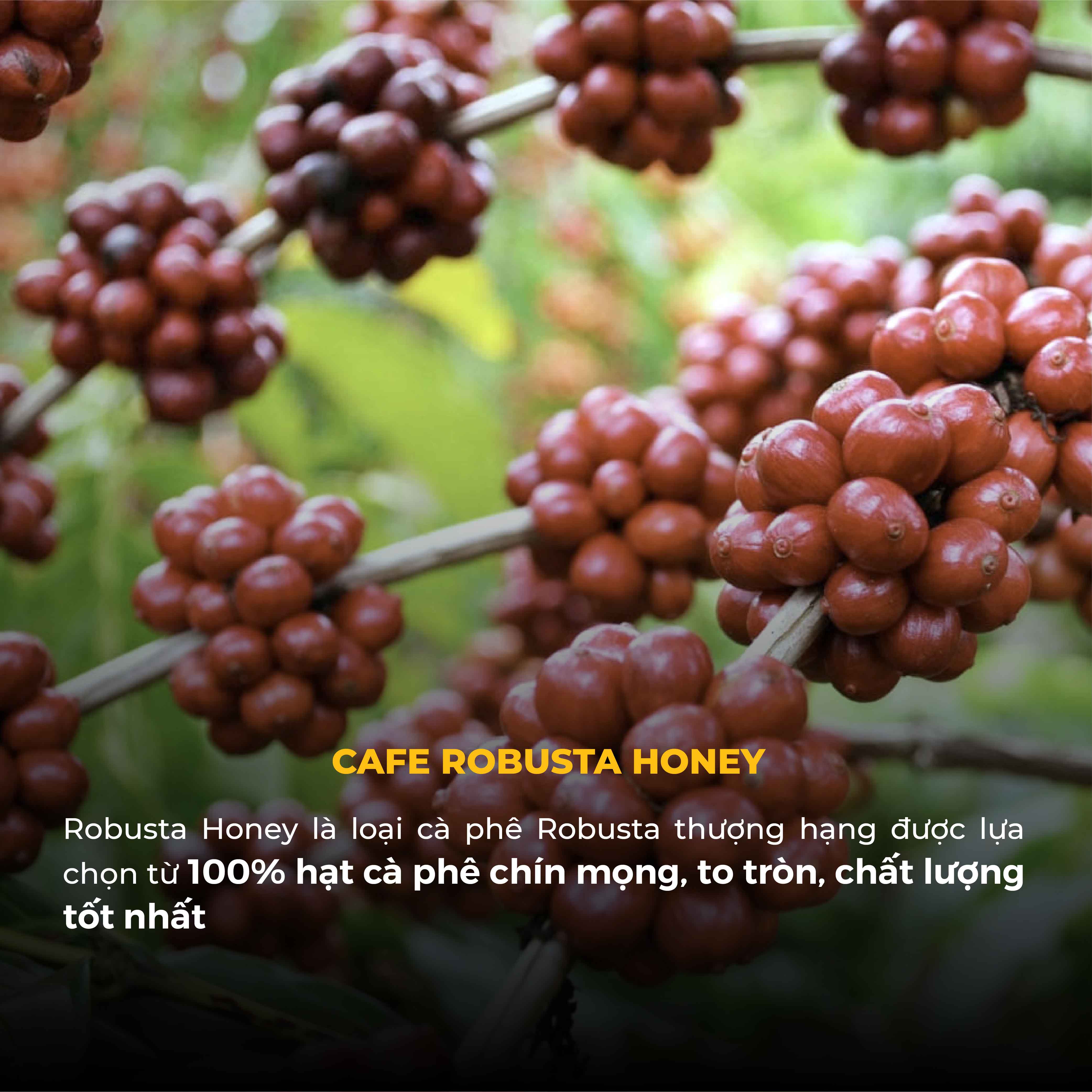 Cà Phê Bột TORO ROBUSTA HONEY 500G