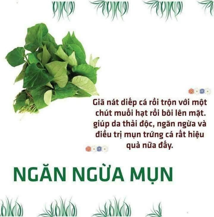 Bột Diếp Cá Nguyên Chất Mẹ Ken 100g