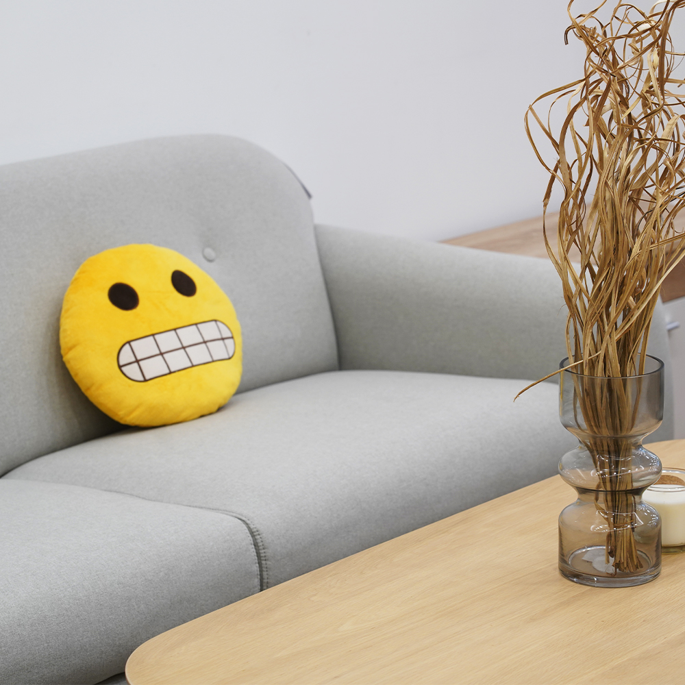 Bộ 2 Gối Trang Trí Emoji Đường Kính 35cm JYSK