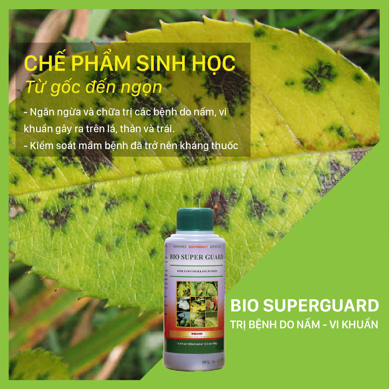 BIO SUPER GUARD - Chai 350ml Phòng trừ bệnh nấm, thán thư, phấn trắng, sương mai