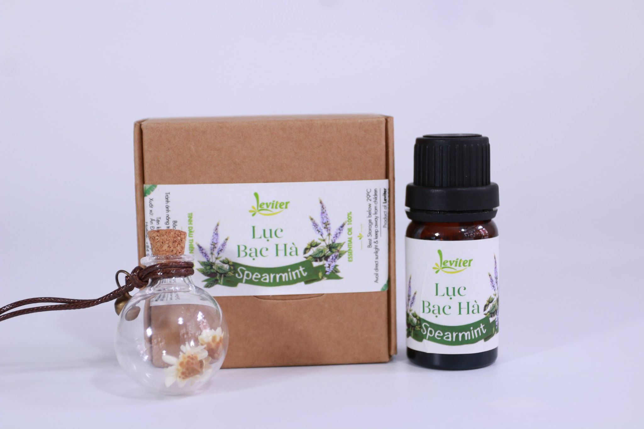 Combo Tinh Dầu Leviter Lục Bạc Hà 10ml Và Lọ Thủy Tinh Treo Xe
