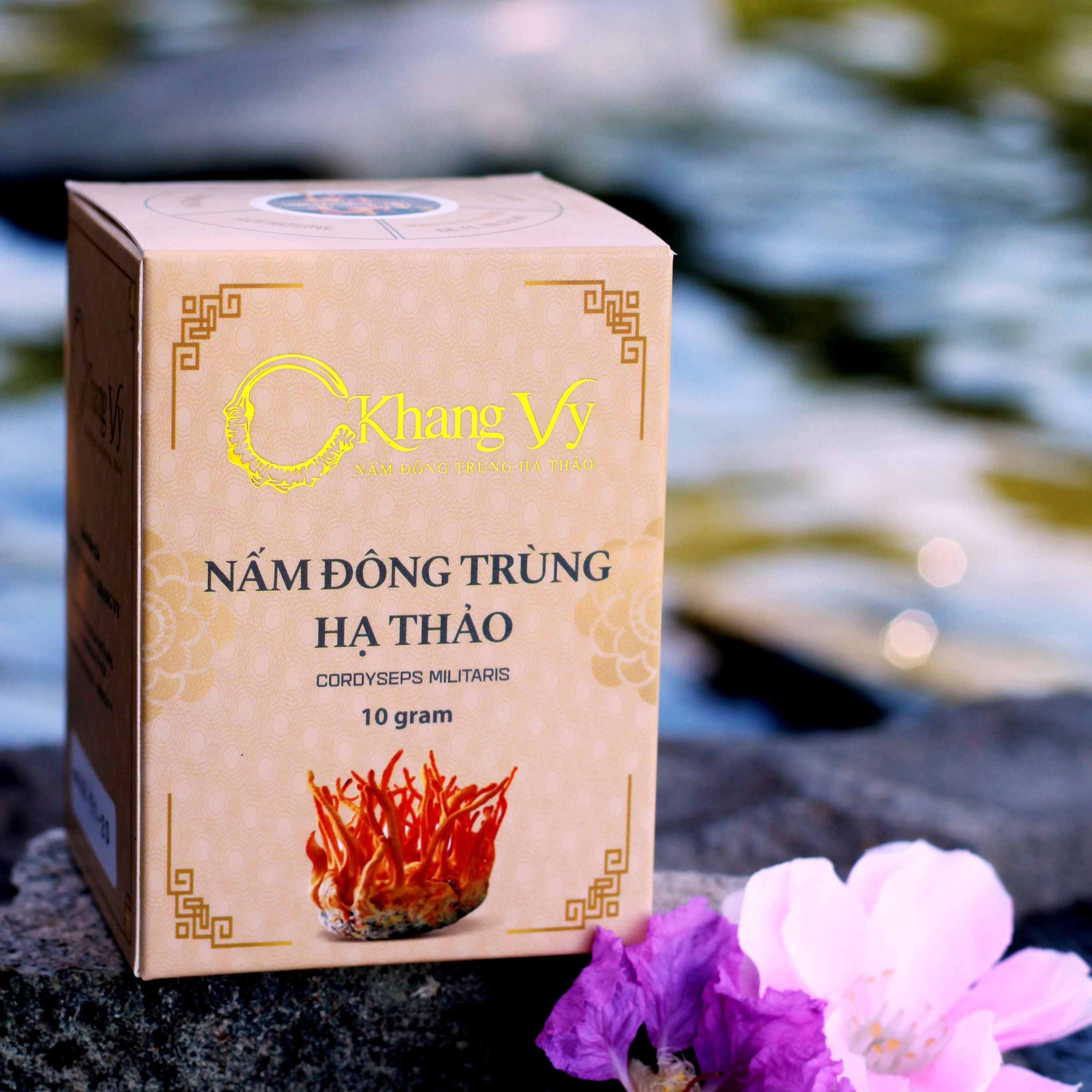 Đông Trùng Hạ Thảo sấy thăng hoa lạnh hũ 10g