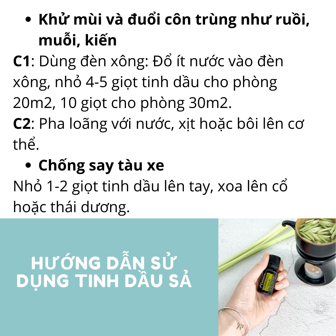 Combo 5 tinh dầu phân đoạn Aotanica, giải cảm, tràm gió, tràm trà, sả chanh, bưởi 1ml