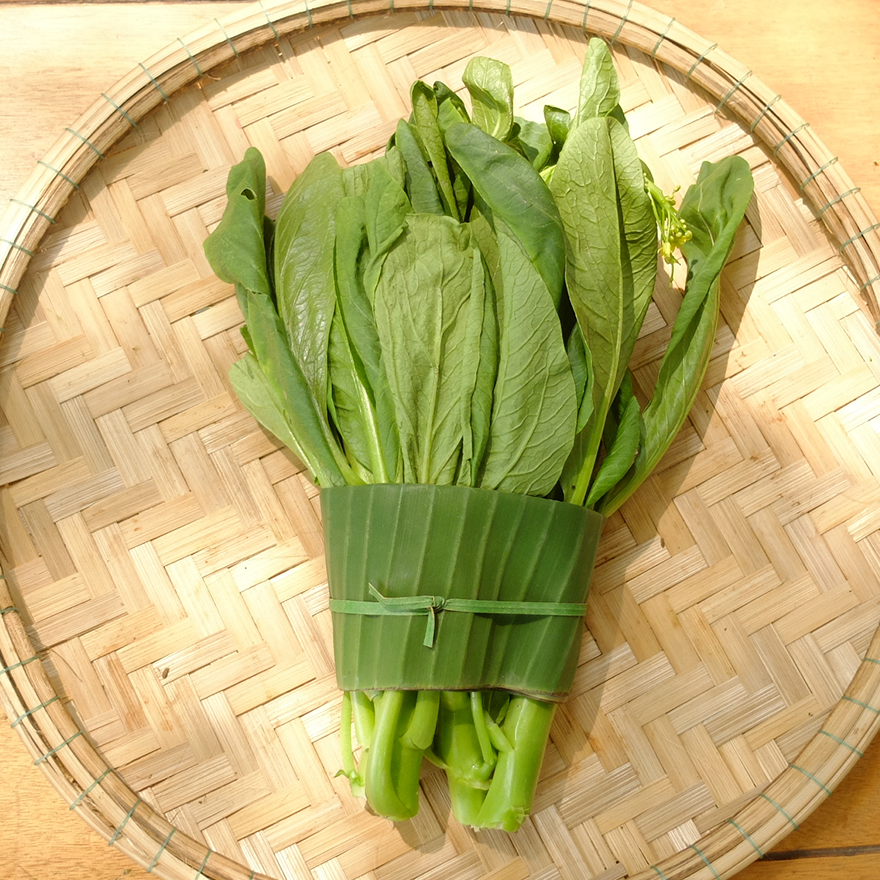 Hạt Giống Rau Cải Ngồng Cao Sản Dễ Trồng Chống Chịu Sâu Bệnh Tốt -