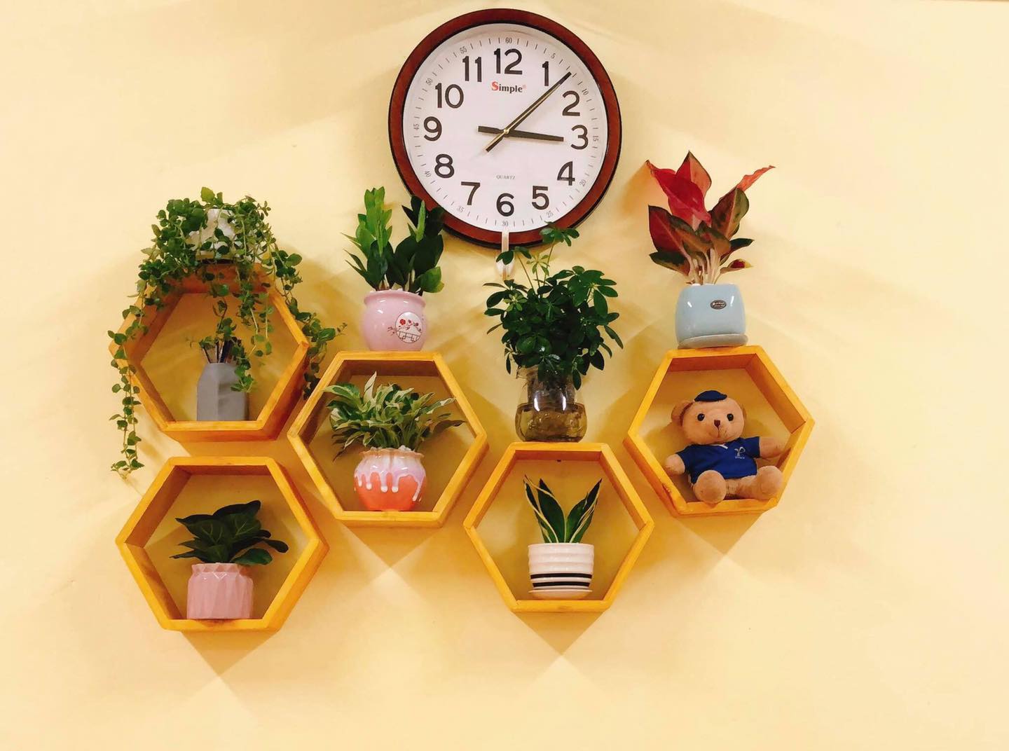 Set 5 kệ lục giác treo tường trang trí gỗ thông tự nhiên