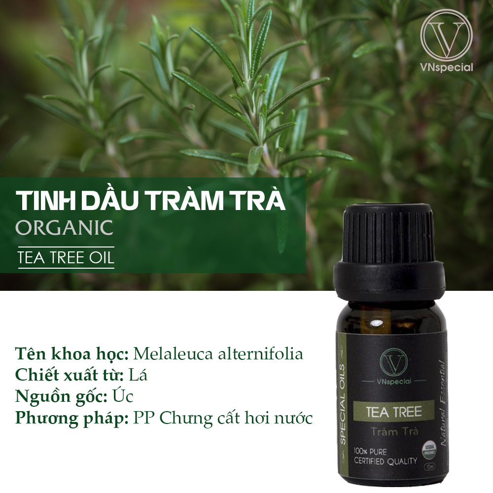 Tinh Dầu Hữu Cơ Tràm Trà | Organic Tea Tree Oil | Tinh dầu Nhập Khẩu USDA- Vnspecial Oils (10ml)