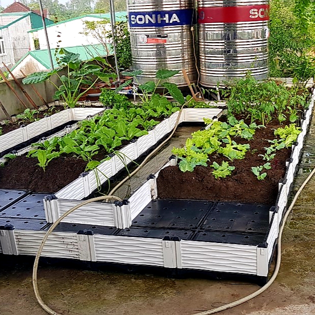 PHÂN TRÙN QUẾ: Nguyên chất 100%, bổ sung men vi sinh - Là loại phân bón hữu cơ tốt nhất con người biết đến: Phù hợp trồng rau, hoa, cây cảnh - An toàn cho người sử dụng cây trồng và môi trường