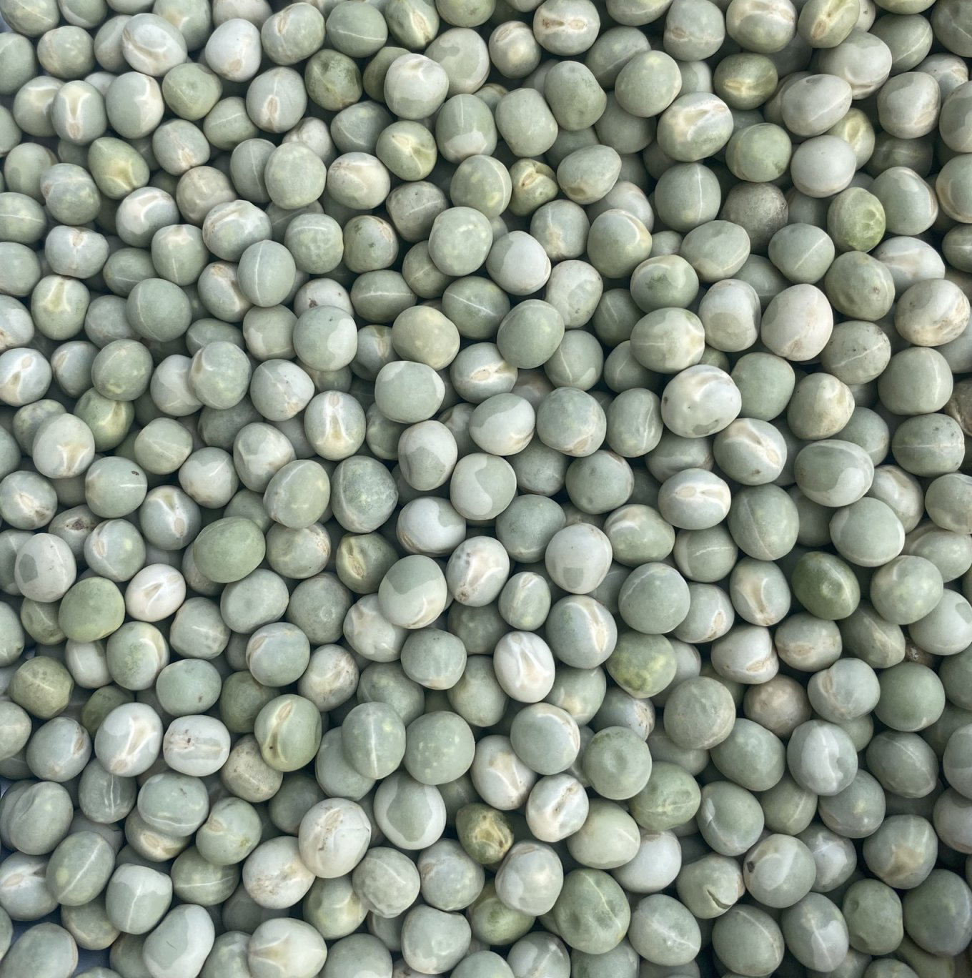 Đậu hà lan xanh nguyên hạt Whole Green Peas