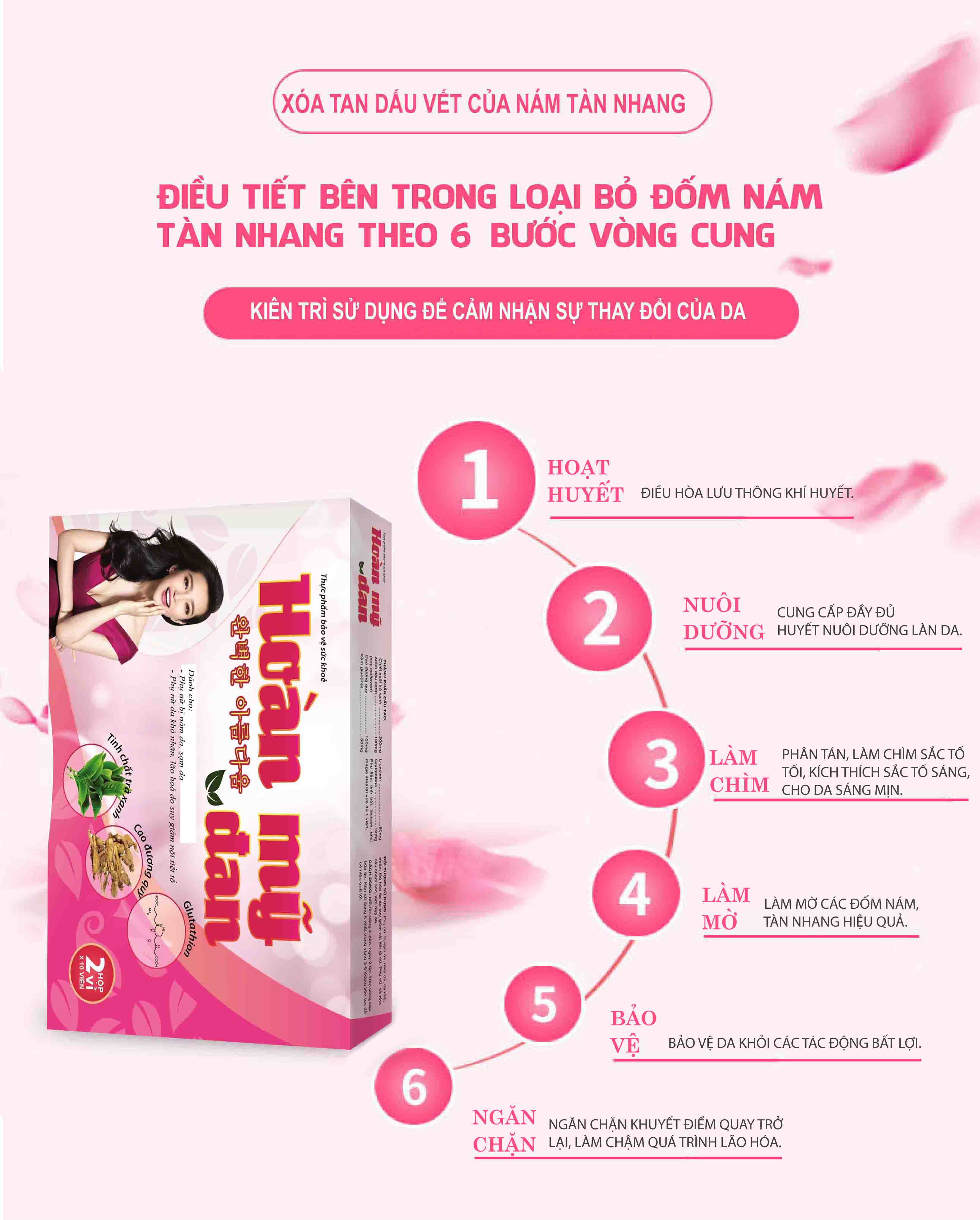 Hoàn Mỹ Đan- Viên uống hỗ trợ làm sạch mụn, nám, tàn nhang