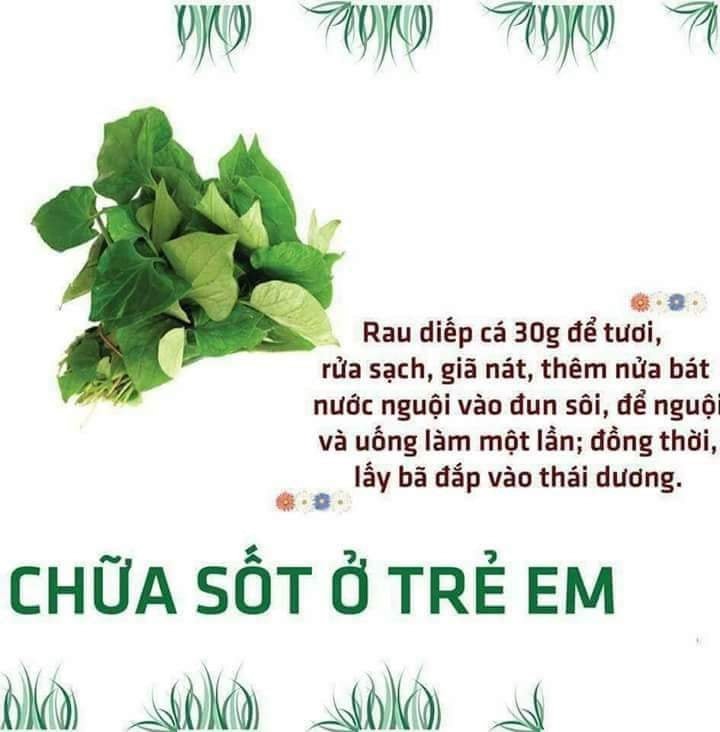 Bột Diếp Cá Nguyên Chất Mẹ Ken 100g